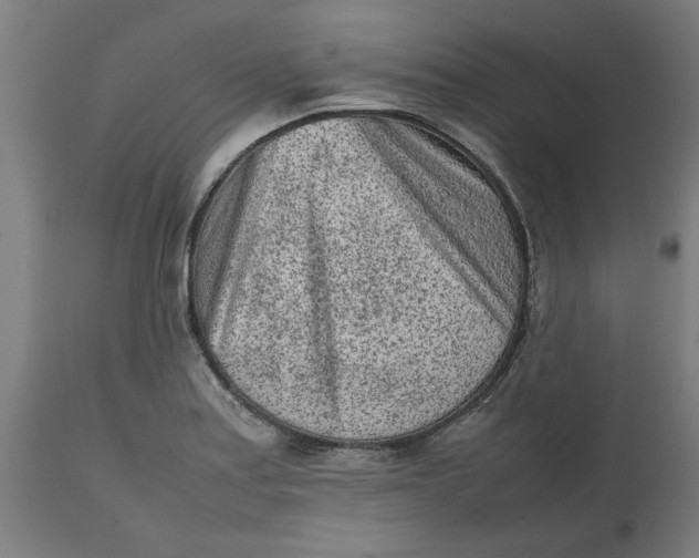 X0000112511179200909071301