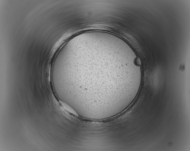 X0000112511180200909071301