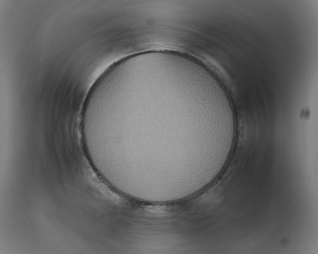 X0000112511182200909071301