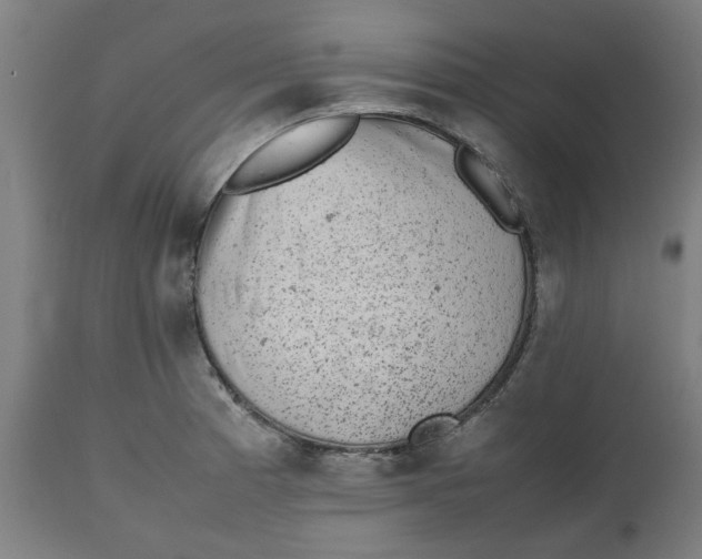 X0000112511185200909071301