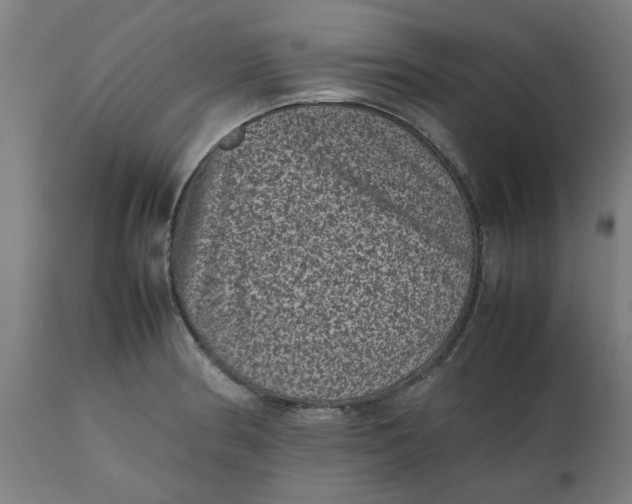 X0000112511186200909071301