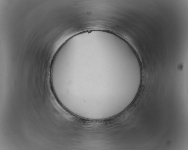 X0000112511187200909071301