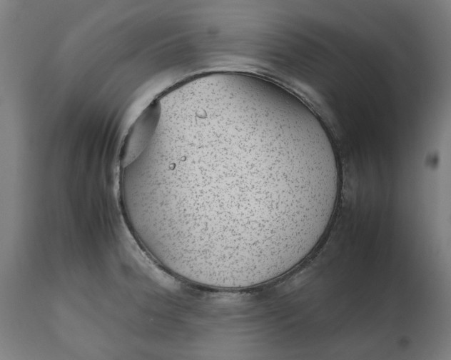 X0000112511188200909071301