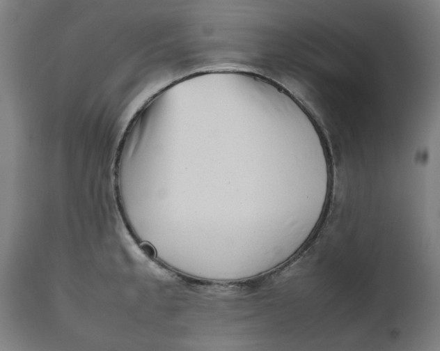 X0000112511189200909071301