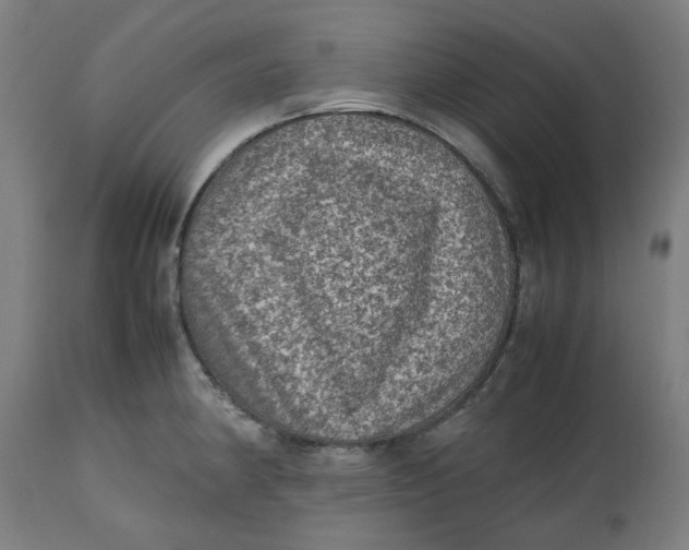 X0000112511190200909071301