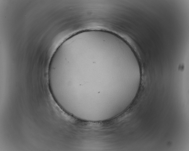 X0000112511191200909071301