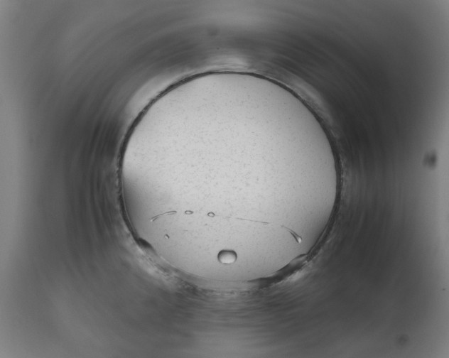 X0000112511192200909071301