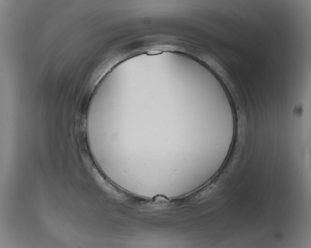 X0000112511193200909071301