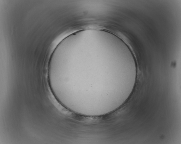 X0000112511195200909071301