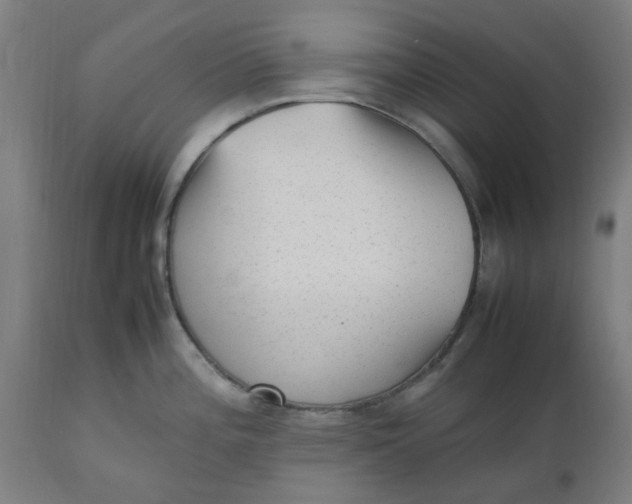 X0000112511196200909071301