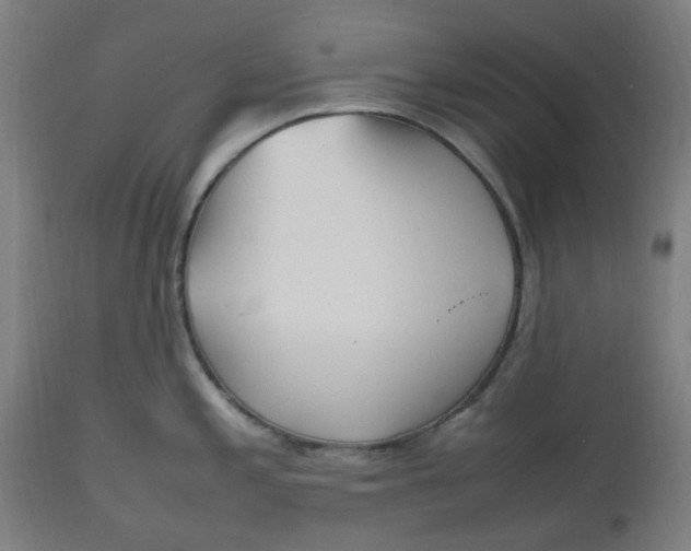 X0000112511197200909071301