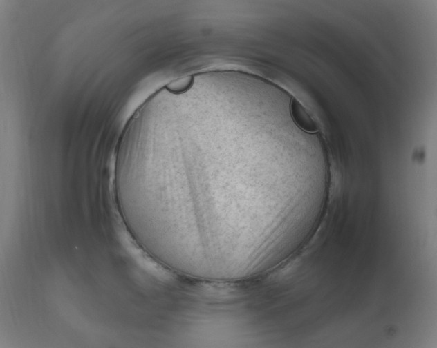 X0000112511198200909071301