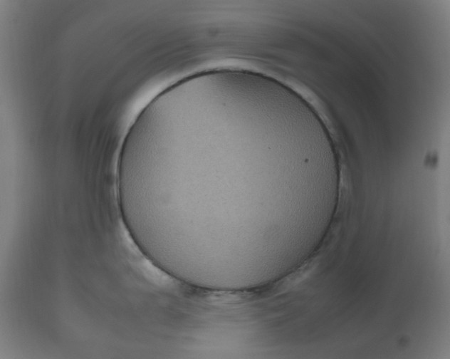 X0000112511199200909071301