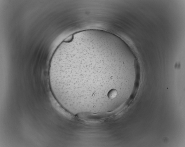 X0000112511200200909071301