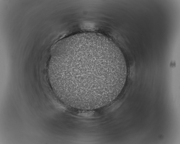 X0000112511201200909071300