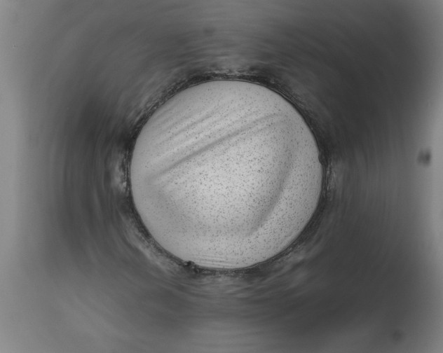 X0000112511202200909071300