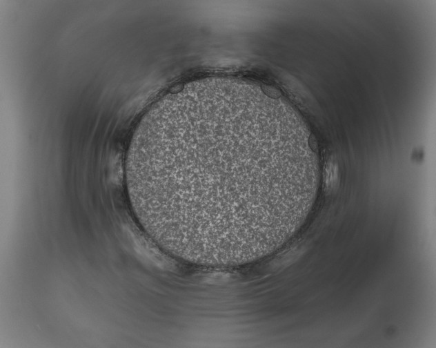 X0000112511204200909071300