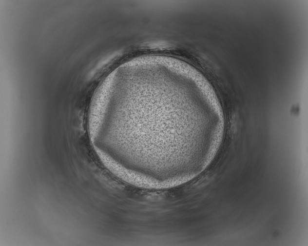 X0000112511205200909071300