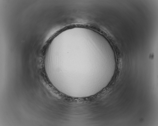 X0000112511208200909071300