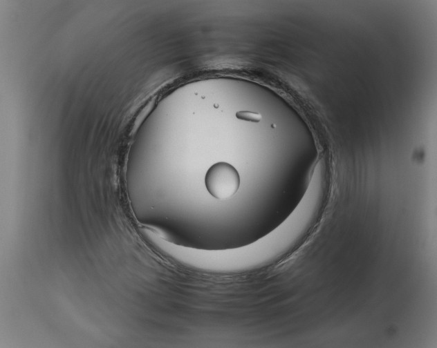 X0000112511209200909071300