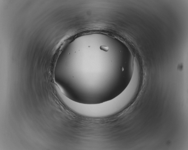 X0000112511210200909071300