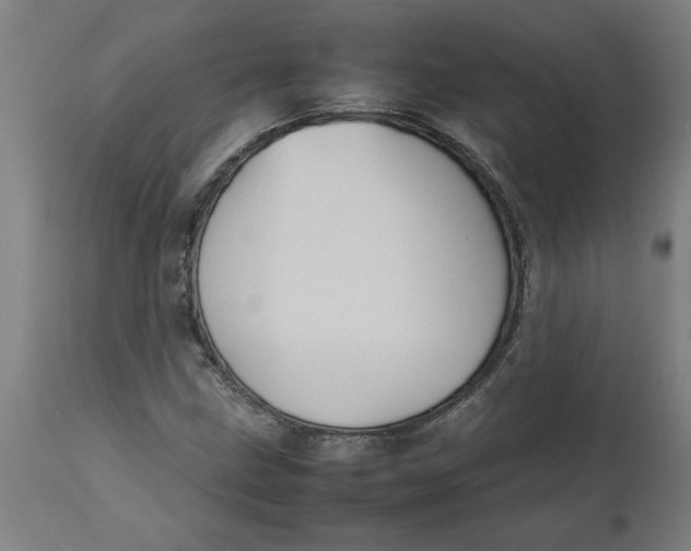 X0000112511211200909071300