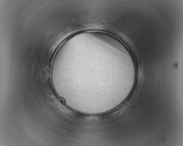 X0000112511212200909071300