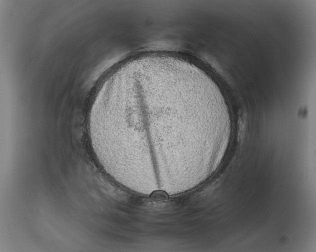 X0000112511213200909071300