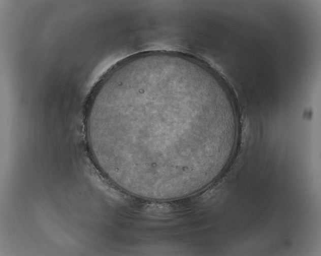 X0000112511215200909071300