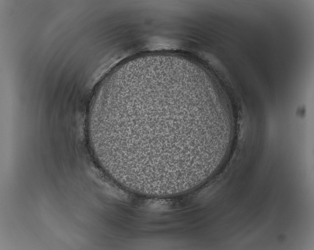 X0000112511217200909071300