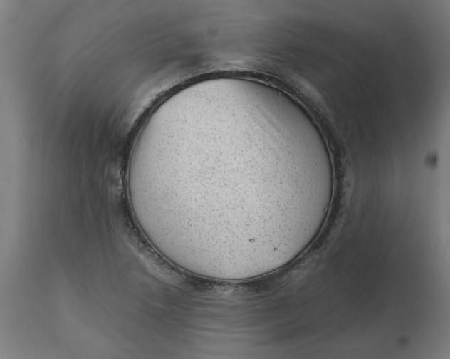 X0000112511218200909071300