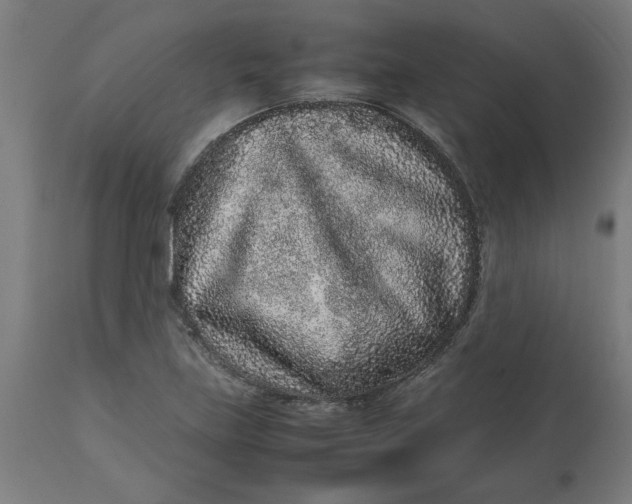 X0000112511219200909071300