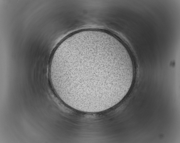 X0000112511220200909071300