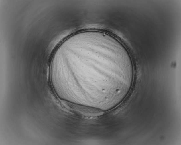 X0000112511221200909071300