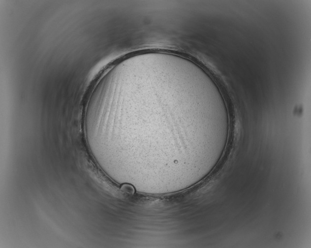 X0000112511222200909071300