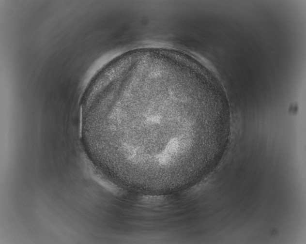 X0000112511223200909071300