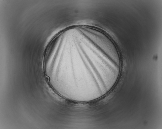 X0000112511224200909071300