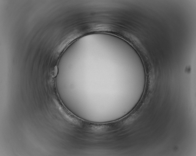 X0000112511225200909071300