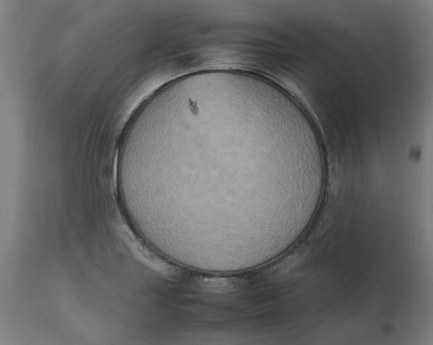 X0000112511227200909071300