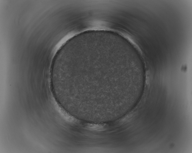 X0000112511229200909071300