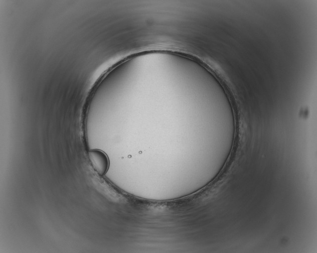 X0000112511230200909071300