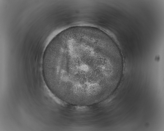 X0000112511231200909071300