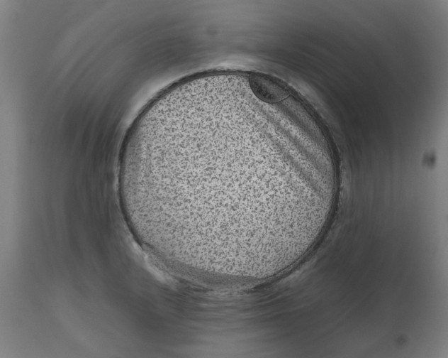 X0000112511232200909071300