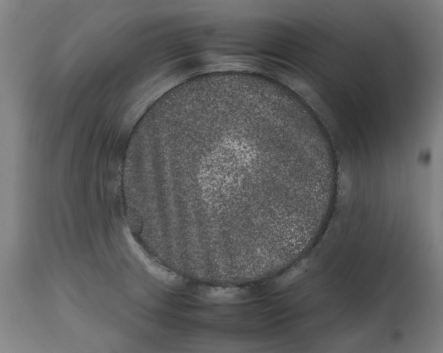 X0000112511233200909071300