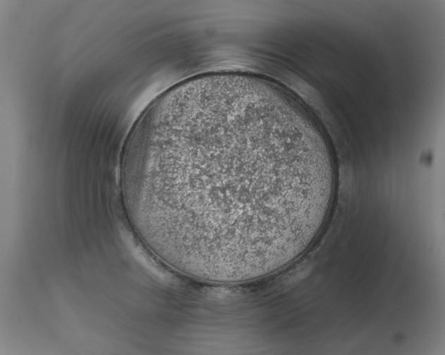 X0000112511234200909071300