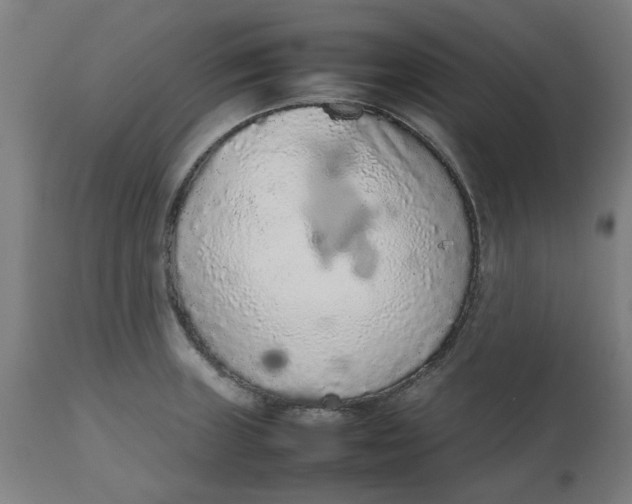 X0000112511235200909071300