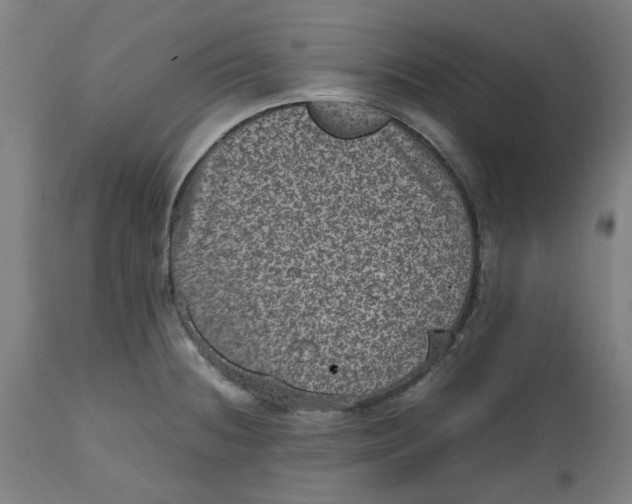 X0000112511236200909071300