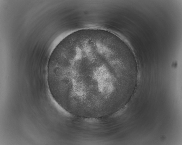 X0000112511239200909071300