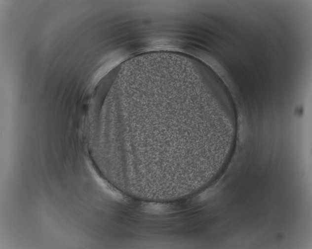 X0000112511241200909071301