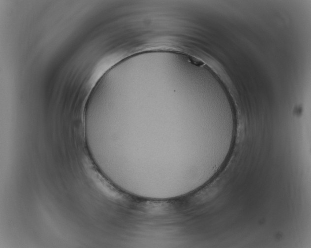 X0000112511242200909071301